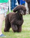 20170928-conf-0196