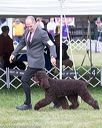 20170928-conf-0003
