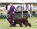 20170928-conf-0028