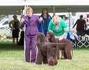 20170928-conf-0032