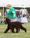 20170928-conf-0043
