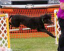 20170928-perf-0073