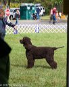 20170930-conf-0303