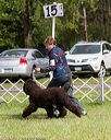 20170930-conf-0311