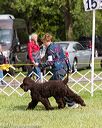20170930-conf-0314