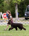 20170930-conf-0328