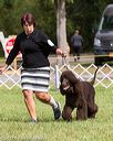 20170930-conf-0343