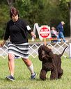 20170930-conf-0346