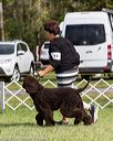 20170930-conf-0352