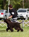 20170930-conf-0353