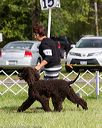 20170930-conf-0354