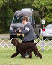 20170930-conf-0364