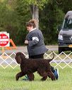 20170930-conf-0369