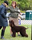 20170930-conf-0377