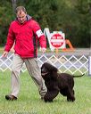 20170930-conf-0389
