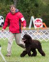 20170930-conf-0390
