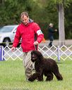 20170930-conf-0395