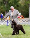 20170930-conf-0416