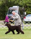 20170930-conf-0420