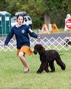 20170930-conf-0059
