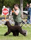 20170930-conf-0067
