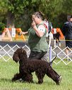 20170930-conf-0070