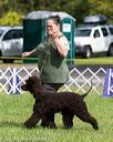 20170930-conf-0076
