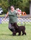 20170930-conf-0086
