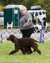 20170930-conf-0178