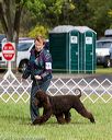 20170930-conf-0096