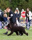 20170930-conf-0118