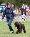 20170930-conf-0126