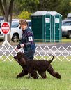 20170930-conf-0136