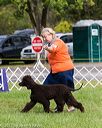 20170930-conf-0213