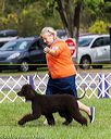 20170930-conf-0215