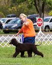 20170930-conf-0216