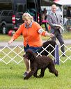 20170930-conf-0229