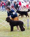 20170930-conf-0290