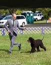 20170930-conf-0005