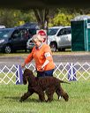 20170930-conf-0015
