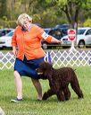 20170930-conf-0033