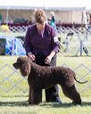 20171001-conf-0137