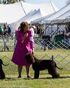 20171001-conf-0139
