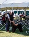 20171001-conf-0142