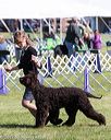 20171001-conf-0157