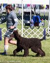 20171001-conf-0171