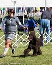 20171001-conf-0183