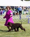20171001-conf-0192