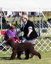 20171001-conf-0218
