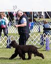 20171001-conf-0223